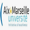 International PhD Fellowships in Dynamic Control in Hybrid Plasmonic Nanopores in France